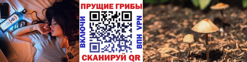 Галлюциногенные грибы прущие грибы  Каменск-Уральский 